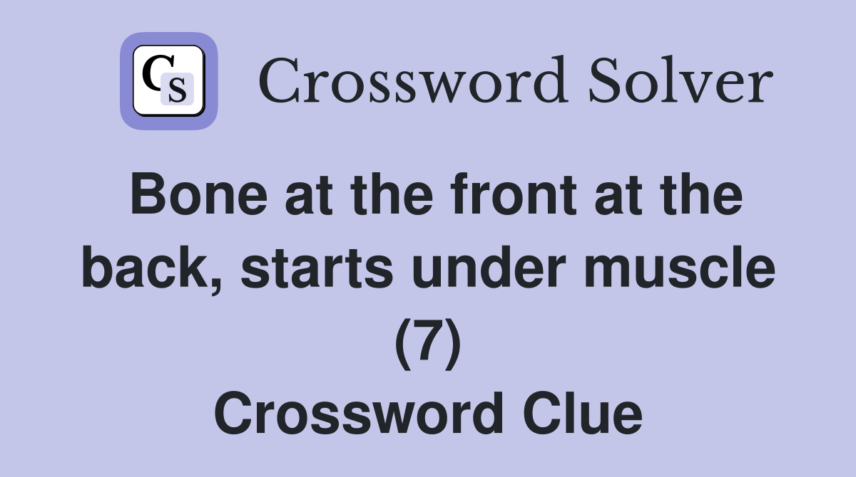 Bone at the front at the back, starts under muscle (7) Crossword Clue